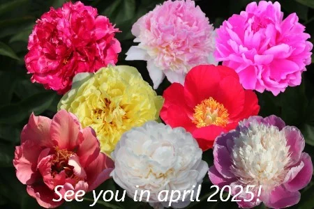 Photo juin 2024 Rendez-vous en 2025