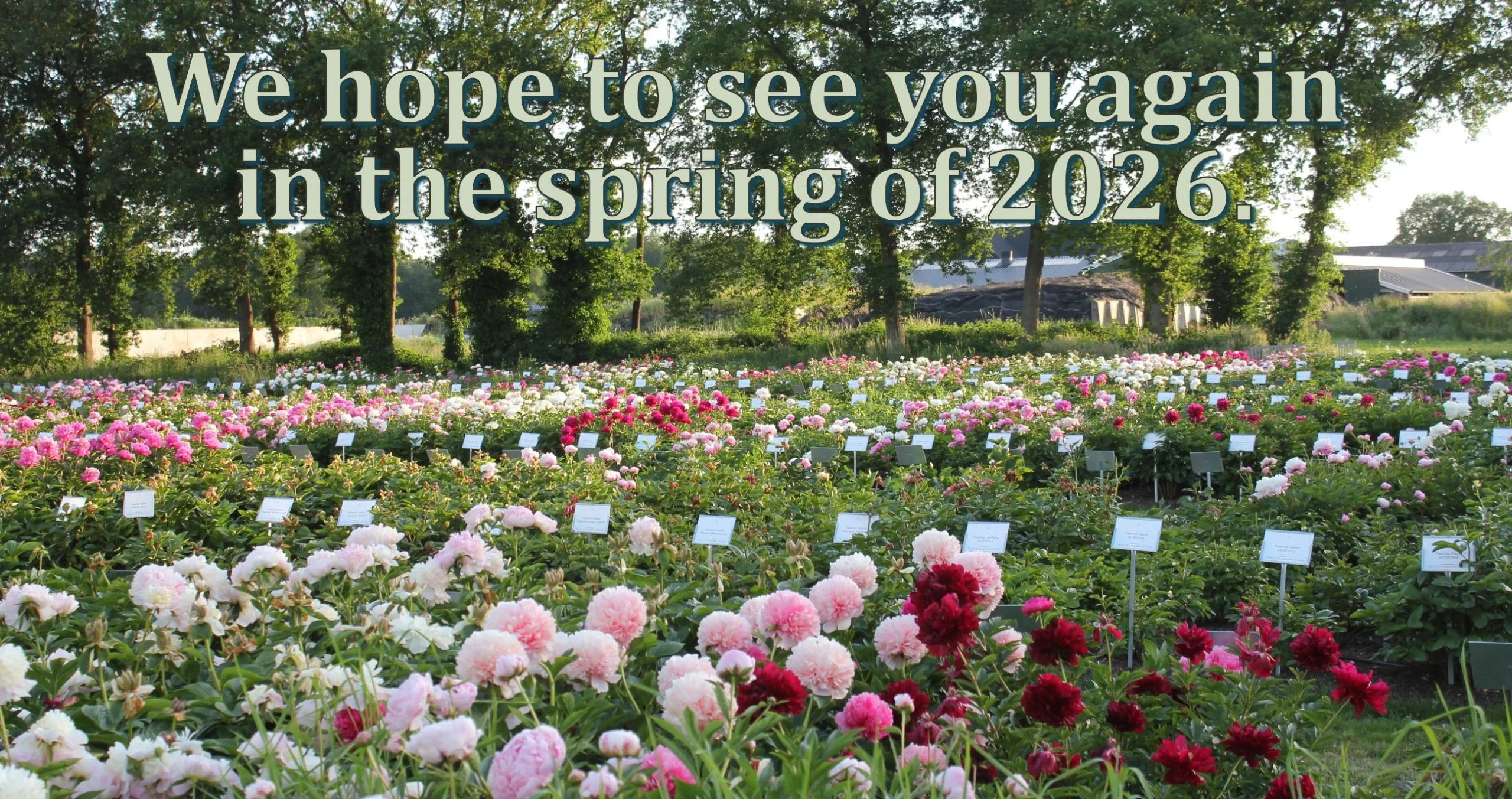 Peony Showgarden fermé 2025