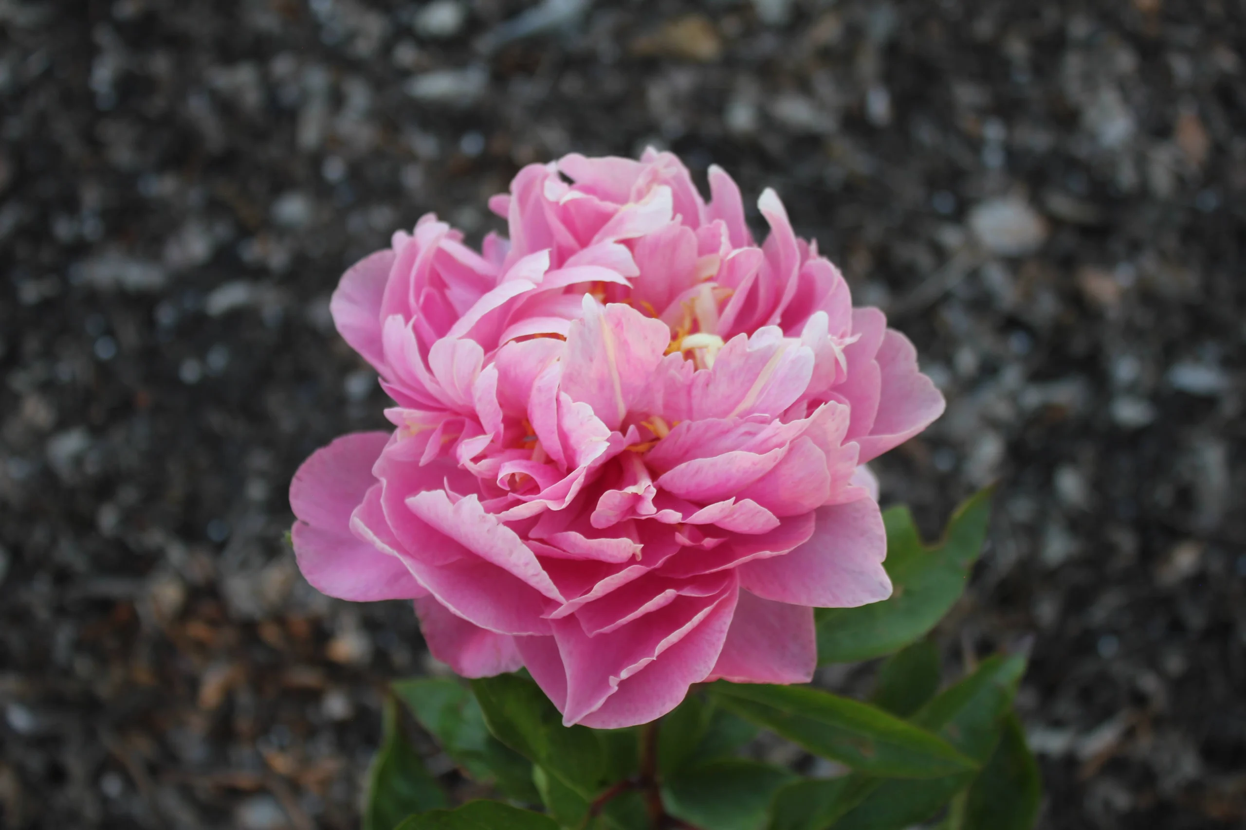 GG_231006 11-05-2024 (3)