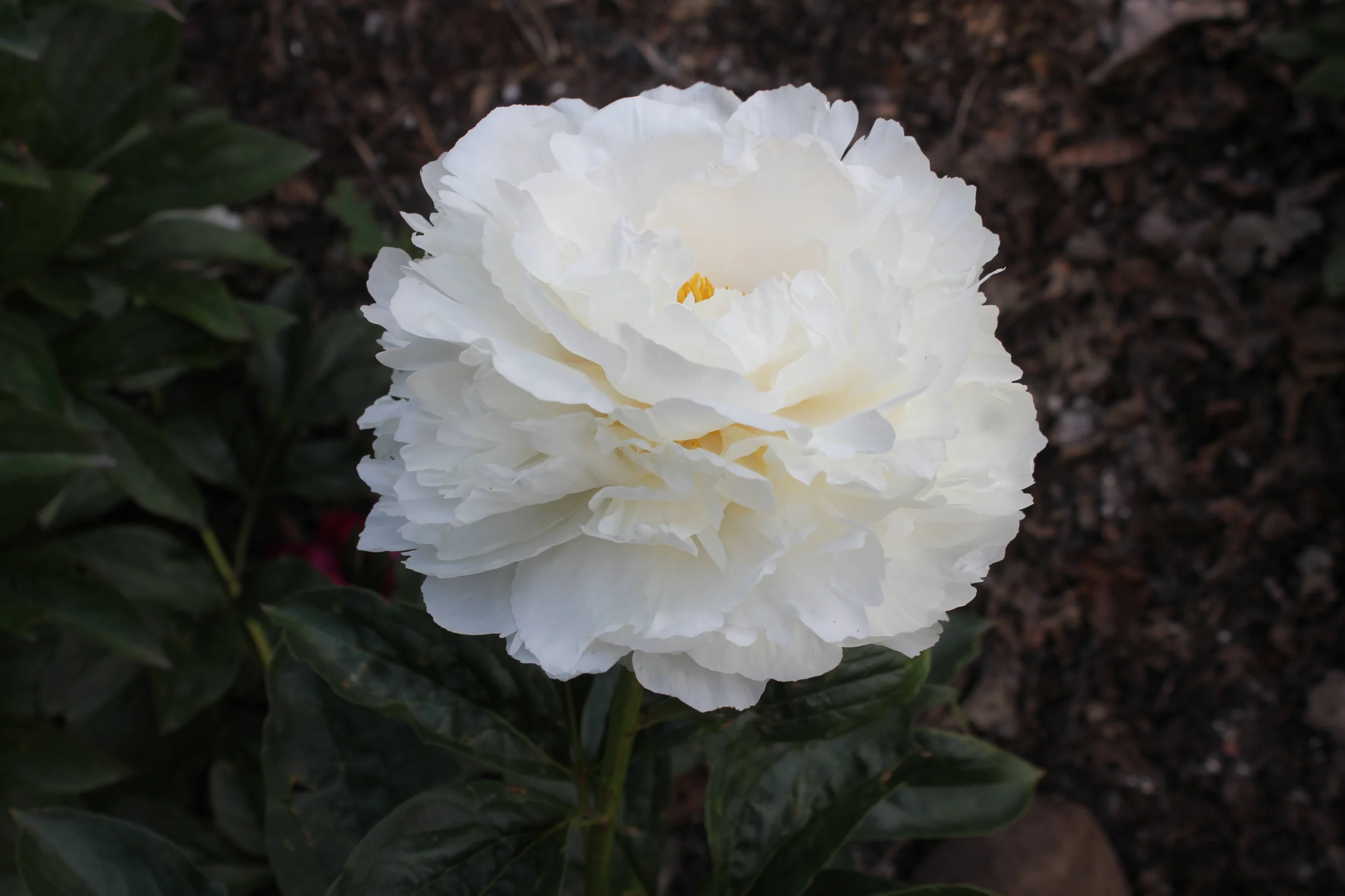 GG_3318 20-05-2024 (2)